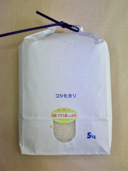 大竹さんの農薬不使用栽培米　コシヒカリ