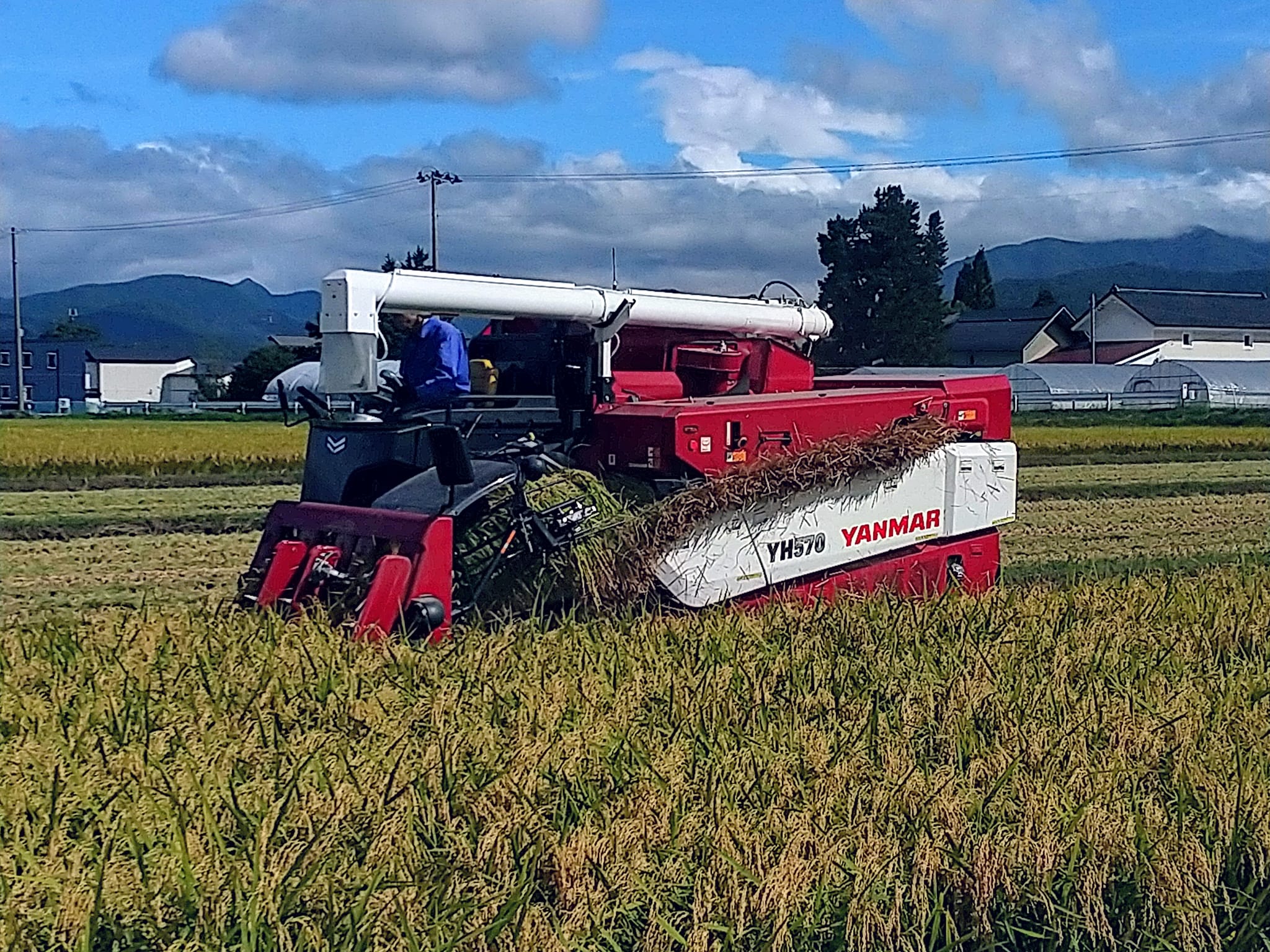 令和6年産・新米販売開始の「おしらせ」と「お願い」 – 戸辺米穀店